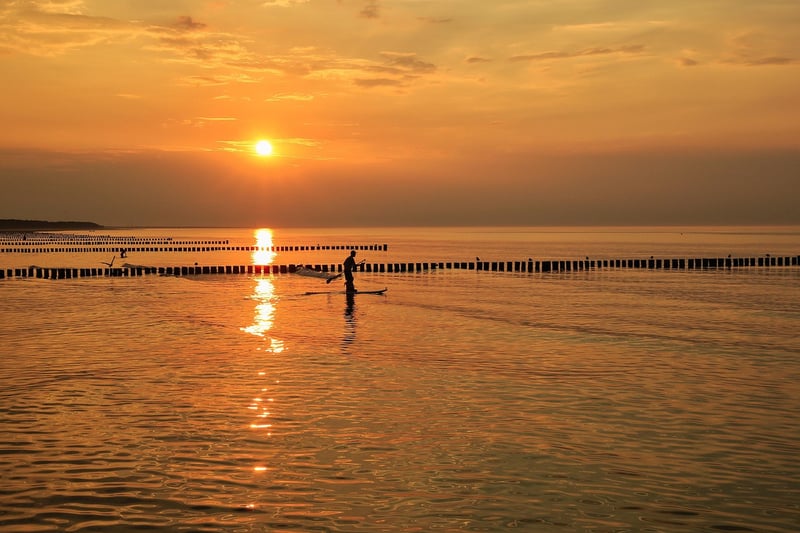 Ocean Paddles